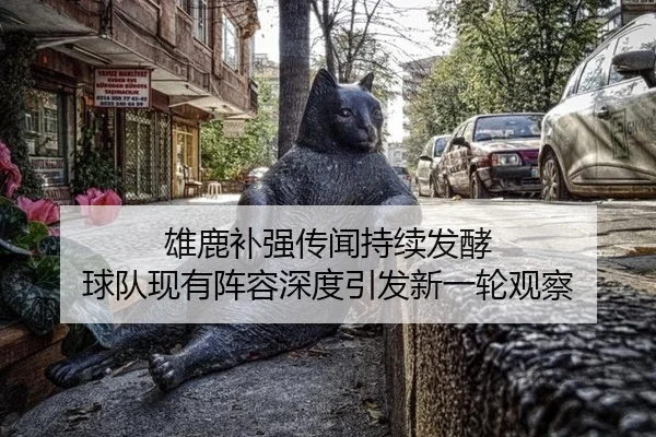 雄鹿补强传闻持续发酵 球队现有阵容深度引发新一轮观察